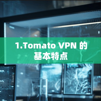 1.Tomato VPN 的基本特点