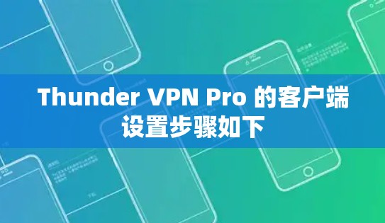 Thunder VPN Pro 的客户端设置步骤如下
