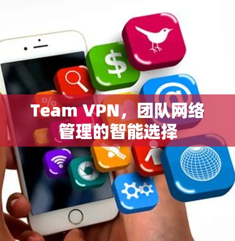Team VPN，团队网络管理的智能选择