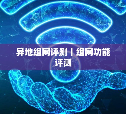异地组网评测｜组网功能评测