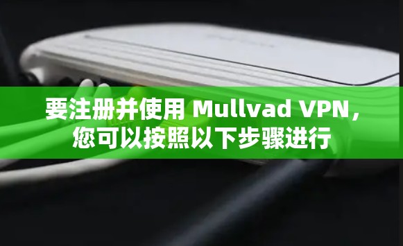 要注册并使用 Mullvad VPN,您可以按照以下步骤进行