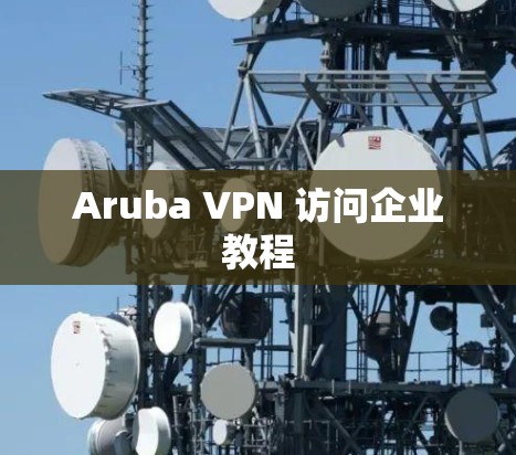 Aruba VPN 访问企业教程