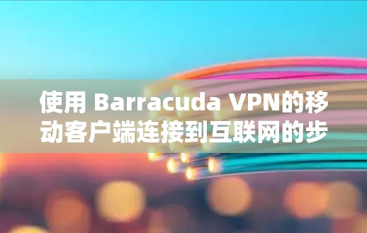 使用 Barracuda VPN的移动客户端连接到互联网的步骤如下 使用 Barracuda VPN的移动客户端连接到互联网的步骤如下