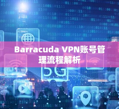 Barracuda VPN账号管理流程解析