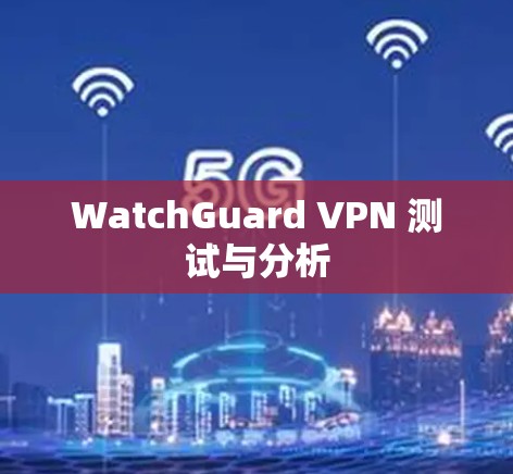 WatchGuard VPN 测试与分析