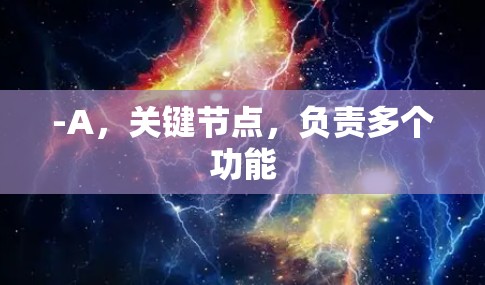 -A，关键节点，负责多个功能