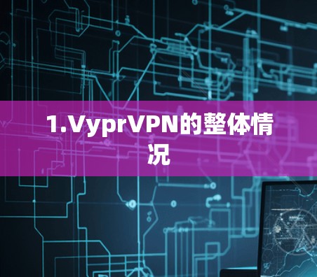 1.VyprVPN的整体情况