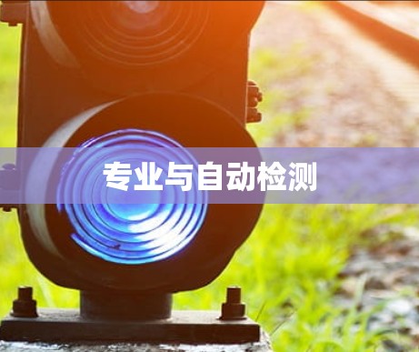 专业与自动检测