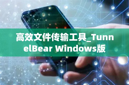 高效文件传输工具_TunnelBear Windows版