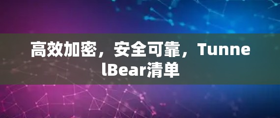 高效加密，安全可靠，TunnelBear清单