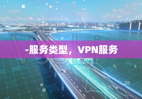 -服务类型,VPN服务