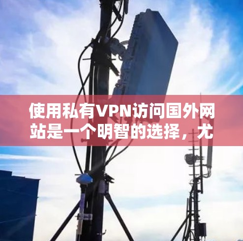 使用私有VPN访问国外网站是一个明智的选择，尤其是如果你希望控制网络环境，避免依赖外部网络。以下是一个分步骤的指南，帮助你更好地理解和使用私有VPN