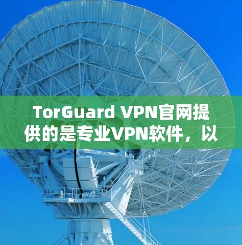 TorGuard VPN官网提供的是专业VPN软件，以下是关于 TorGuard VPN 的下载信息和推荐
