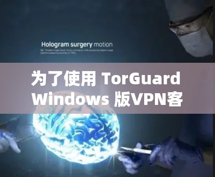 为了使用 TorGuard Windows 版VPN客户端，您可以按照以下步骤进行