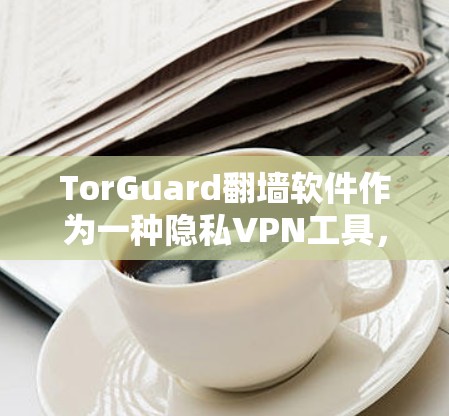 TorGuard翻墙软件作为一种隐私VPN工具,其隐私功能可以从多个方面进行评价。以下是对其隐私VPN功能的评测