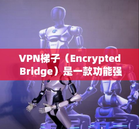 VPN梯子（Encrypted Bridge）是一款功能强大的VPN工具，它结合了加密技术、多边网络和多任务处理功能，适合多种使用场景。以下是对用户体验的详细分析和总结