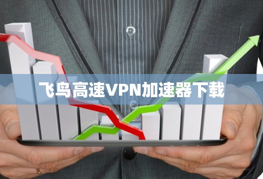 飞鸟高速VPN加速器下载 飞鸟高速VPN加速器下载