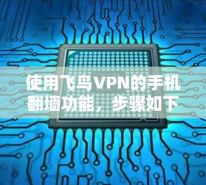 使用飞鸟VPN的手机翻墙功能,步骤如下