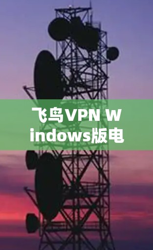 飞鸟VPN Windows版电脑VPN设置