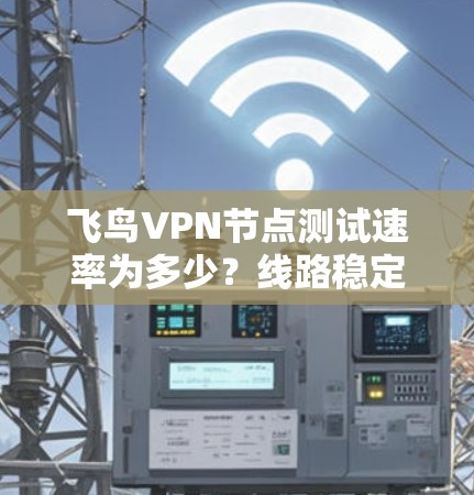 飞鸟VPN节点测试速率为多少?线路稳定性如何分析?