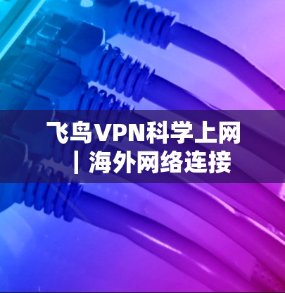 飞鸟VPN科学上网|海外网络连接