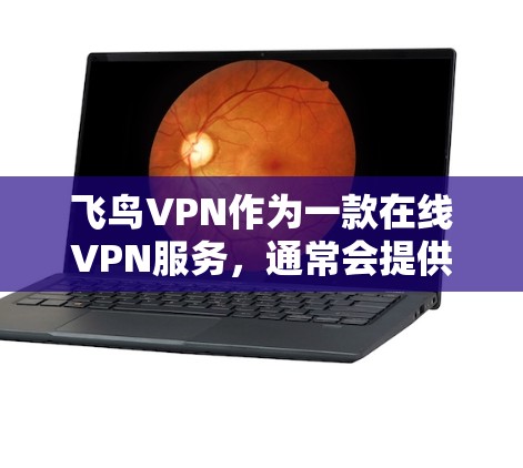 飞鸟VPN作为一款在线VPN服务，通常会提供多种下载入口，以方便用户选择适合自己的方式进行下载。以下是飞鸟VPN最新版本客户端的下载入口和相关信息