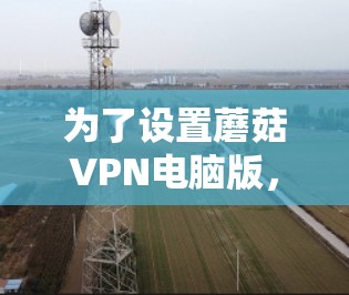 为了设置蘑菇VPN电脑版,您可以按照以下步骤进行