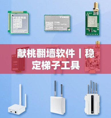 献桃翻墙软件|稳定梯子工具