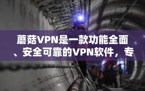 蘑菇VPN是一款功能全面、安全可靠的VPN软件,专为移动设备设计,旨在提供流畅的网络连接和丰富的功能。以下是蘑菇VPN最新版本的客户端介绍,包括主要特点、下载流程、使用步骤以及安全特性