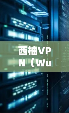 西柚VPN(WuQUVPN)是通过微信和QQ联系用户提供VPN服务的平台,属于中国官方的网络VPN服务。该服务主要是为微信和QQ用户设计的,提供了一种更安全、更便捷的VPN体验