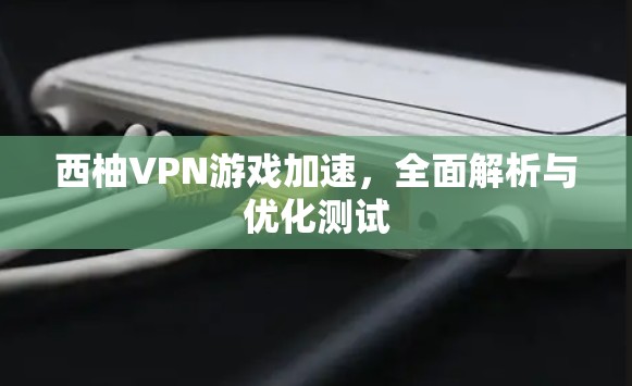 西柚VPN游戏加速,全面解析与优化测试