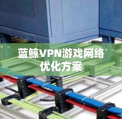 蓝鲸VPN游戏网络优化方案