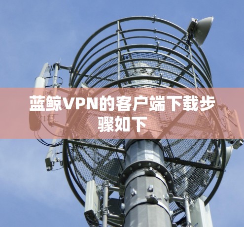 蓝鲸VPN的客户端下载步骤如下