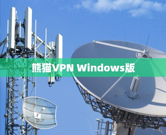 熊猫VPN Windows版