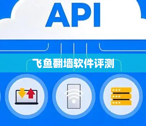 飞鱼翻墙软件评测