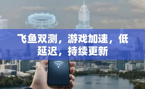 飞鱼双测,游戏加速,低延迟,持续更新 飞鱼双测,游戏加速,低延迟,持续更新