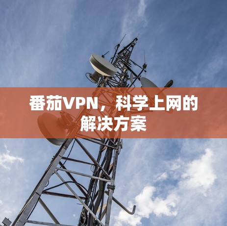 番茄VPN,科学上网的解决方案