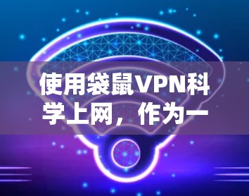 使用袋鼠VPN科学上网,作为一个普通用户,需要考虑以下几点