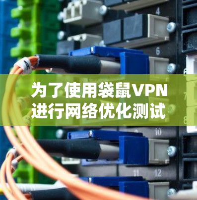为了使用袋鼠VPN进行网络优化测试,您可以按照以下步骤进行操作