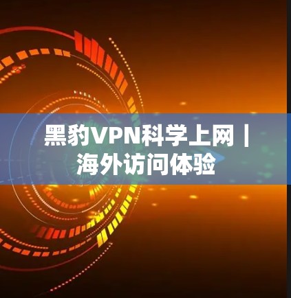 黑豹VPN科学上网|海外访问体验