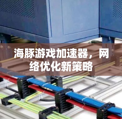 海豚游戏加速器,网络优化新策略