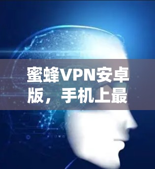 蜜蜂VPN安卓版,手机上最安全的VPN解决方案