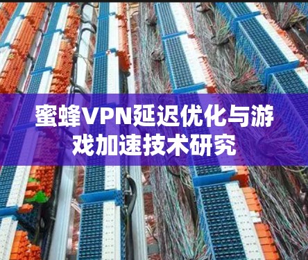 蜜蜂VPN延迟优化与游戏加速技术研究