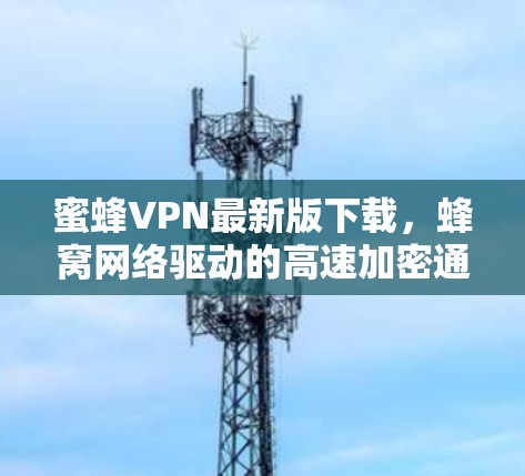 蜜蜂VPN最新版下载,蜂窝网络驱动的高速加密通信工具