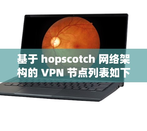基于 hopscotch 网络架构的 VPN 节点列表如下