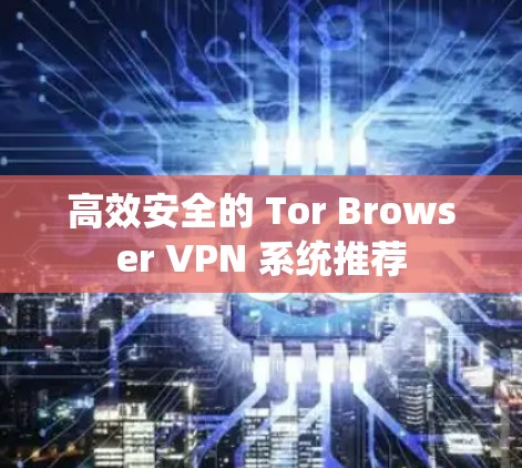 高效安全的 Tor Browser VPN 系统推荐