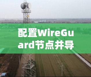 配置WireGuard节点并导入服务器可以分为以下几个步骤，每个步骤都有详细的子步骤