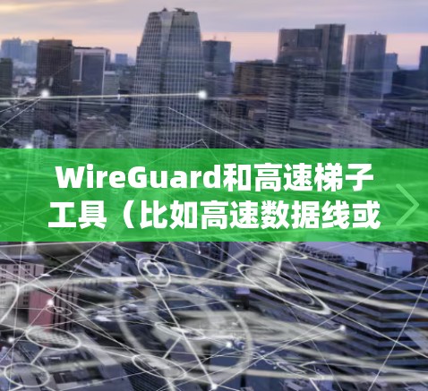 WireGuard和高速梯子工具(比如高速数据线或网络接口)都是现代网络管理中的关键工具,但它们的用途和功能有所不同。以下是对这两个工具的简要分析