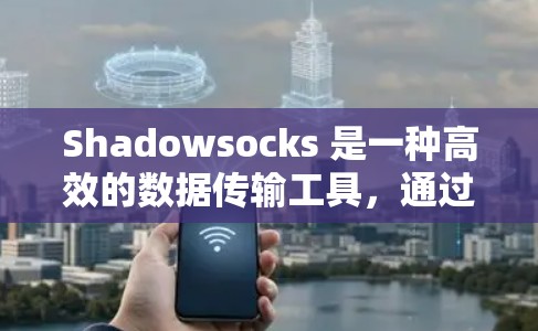 Shadowsocks 是一种高效的数据传输工具，通过分发端口流量来提高网络性能。为了优化 shadowsocks 的连接速度，可以按照以下步骤进行