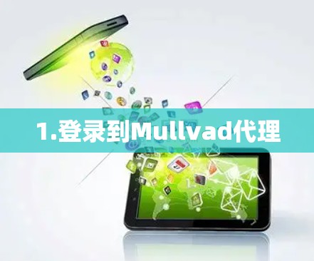 1.登录到Mullvad代理